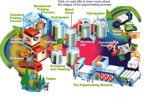 Papermaking Process