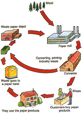 Papermaking Process