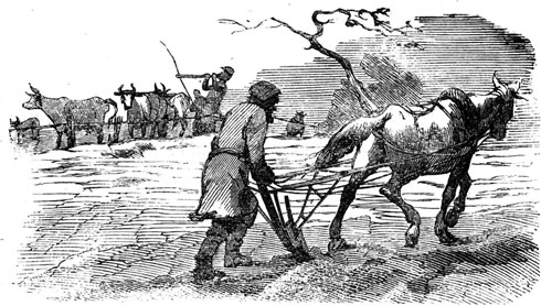 Peasants plowing