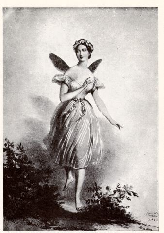 levmtsylphide.jpg