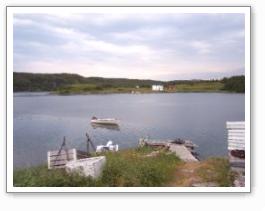 My Father's Wharf  (Griquet, NL)