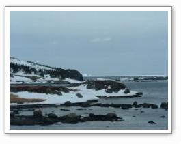 Dog Island  (Griquet, NL)