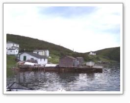 Ford Manuel's Fishing Shed (Griquet, NL)