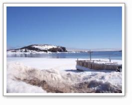 Four Ears Island (Griquet, NL)