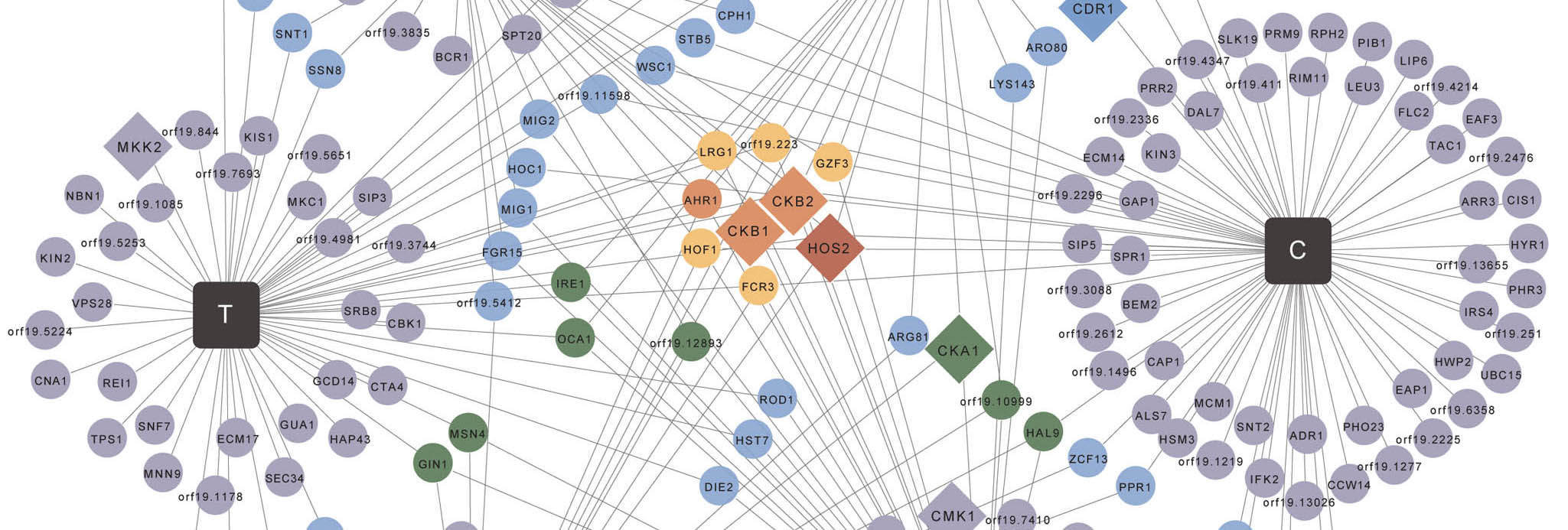 ChemicalGenomicsCrop