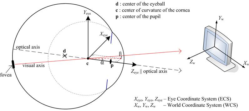 eye+ECS+WCS.v2.tif