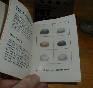 Pet Rocks