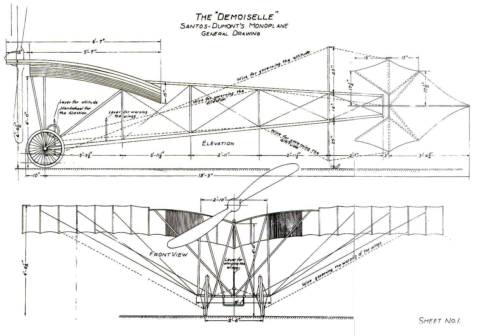 Demoiselle drawing