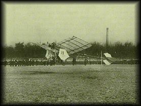 Demoiselle taking off