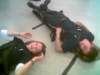 Photo Number 8