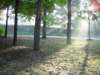 Photo Number 13