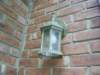 Photo Number 5