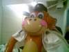 Photo Number 4