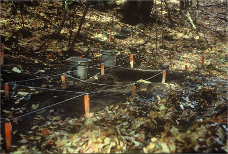 Excavation of the Crime Scene