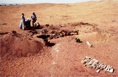 A Tomb on the Desert