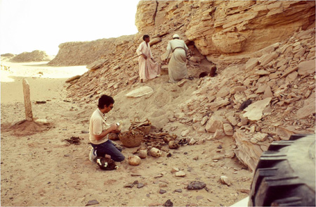 Recovering the contents from a looted tomb