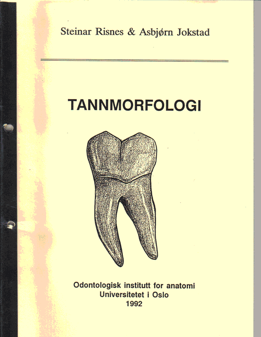 Tannmorfologi