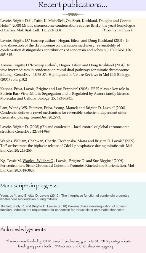 Recent publications...
￼
Lavoie, Brigitte D.# , Tuffo, K. Michelle#, Oh, Scott, Koshland, Douglas and Connie Holm* (2000) Mitotic chromosome condensation requires Brn1p, the yeast homologue of Barren, Mol. Biol. Cell,  11:1293-1304.				 (# co-first authors)

Lavoie, Brigitte D.* (corresp author), Hogan, Eileen and Doug Koshland (2002).  In vivo dissection of the chromosome condensation machinery:  reversibility of condensation distinguishes contributions of condensin and cohesin, J. Cell Biol. 156: 805-815.

 Lavoie, Brigitte D.*(corresp author) , Hogan, Eileen and Doug Koshland (2004).  In vivo intermediates in condensation reveal dual pathways for mitotic chromosome folding.  GenesDev.  18:76-87.  Highlighted in Nature Reviews in Mol Cell Biology,  (2004) vol5, p.82)
  
Kapoor, Priya, Lavoie, Brigitte and Lori Frappier* (2005).  EBP2 plays a key role in Epstein Barr Virus Mitotic Segregation and is Regulated by Aurora family kinases. Molecular and Cellular Biology, 25: 4934-4945.

Lam, Wendy WS, Peterson, Erica, Yeung, Mantek and Brigitte D. Lavoie* (2006)  Condensin defines a novel mechanism for reversible, cohesin-independent sister chromatid pairing, GenesDev. 20:2973.  

Lavoie, Brigitte D. (2008) pRb and condensin—local control of global chromosome structure GenesDev,22: 964-969.

Waples, William, Chahwan, Charly, Ciechonska, Marta and Brigitte D. Lavoie* (2009)  Tof2 orchestrates the biphasic release of Cdc14 phosphatase during mitotic exit. Mol Biol Cell 20: 245-255.

Ng, Tessie M, Waples,  William G., Lavoie,  Brigitte D. and Sue Biggins* (2009) Pericentromeric Sister Chromatid Cohesion Promotes Kinetochore Biorientation. Mol Biol Cell 20:3818-3827.


Manuscripts in progress

Yoon, Ju Y. and Brigitte D. Lavoie (2010)  The interphase function of condensin promotes kinetochore biorientation during mitosis.

Thickett, Kelly R. and Brigitte D. Lavoie (2010) Pre-anaphase downregulation of cohesin function underlies the requirement for condensin for robust sister chromatid chohesion.




Acknowledgements

        This work was funded by CIHR research and salary grants to BL. CIHR post-graduate             
                        funding supports both L.D’Ambrosio and C. Chahwan in my group.



