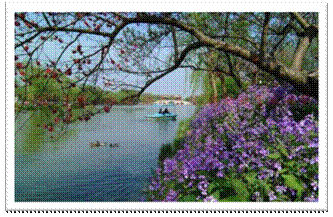 image002.gif