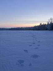 footprints.jpg