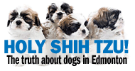 Holy Shih Tzu! The truth about dogs in Edmonton