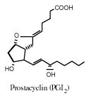 structure of prostacyclin