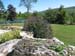 2pond_butterflybush