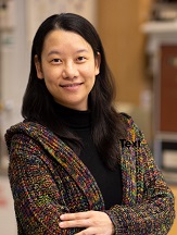 Xue Pan's Google Scholar