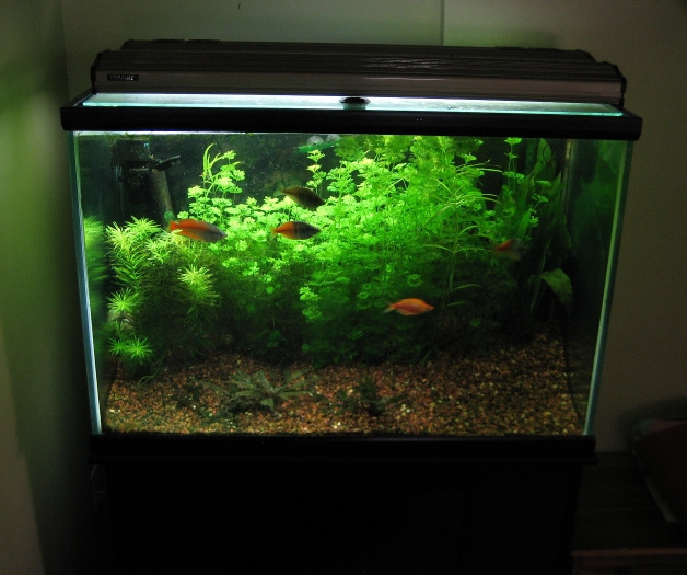 Aquarium Uv Sterilizer