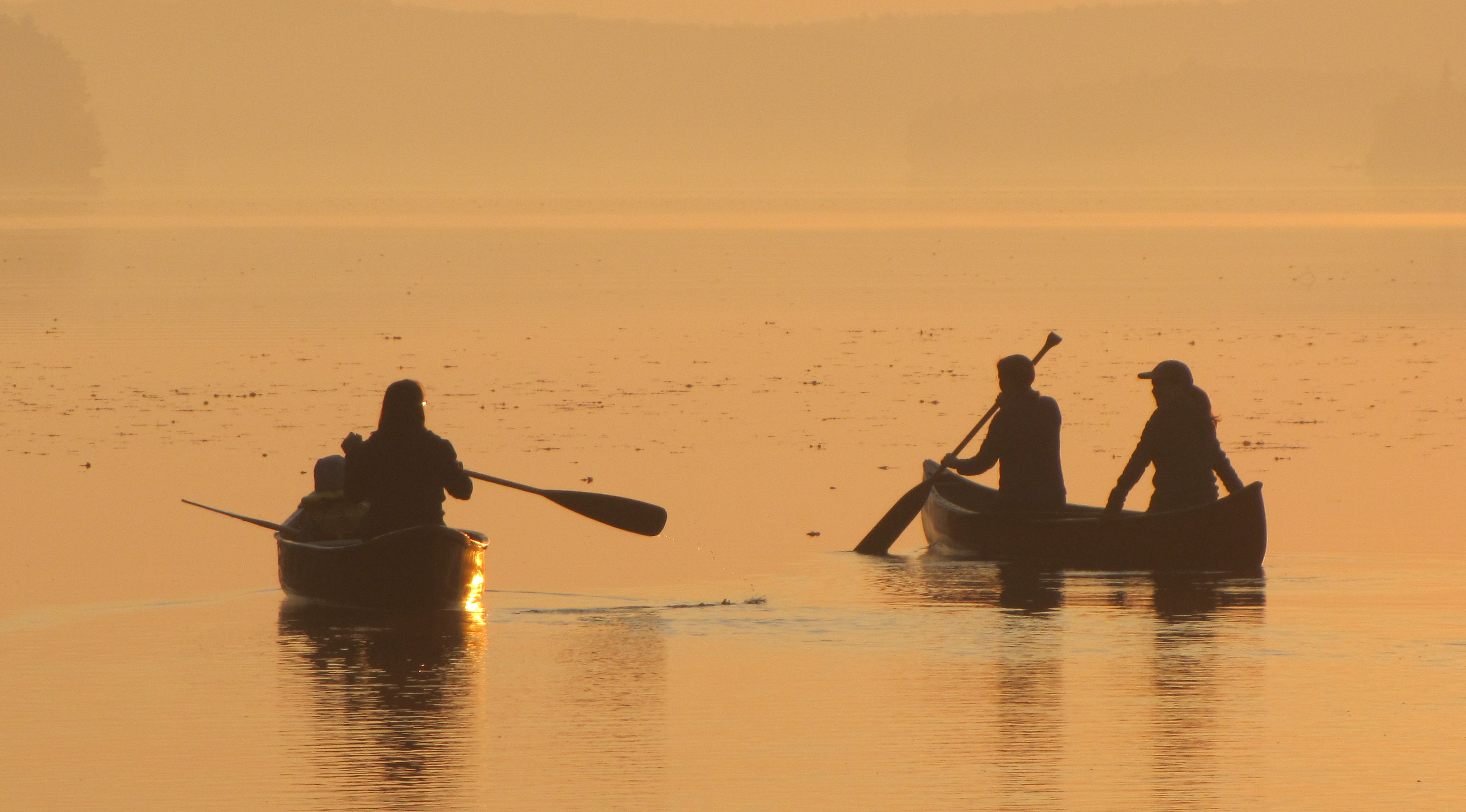 Rowing on Lake