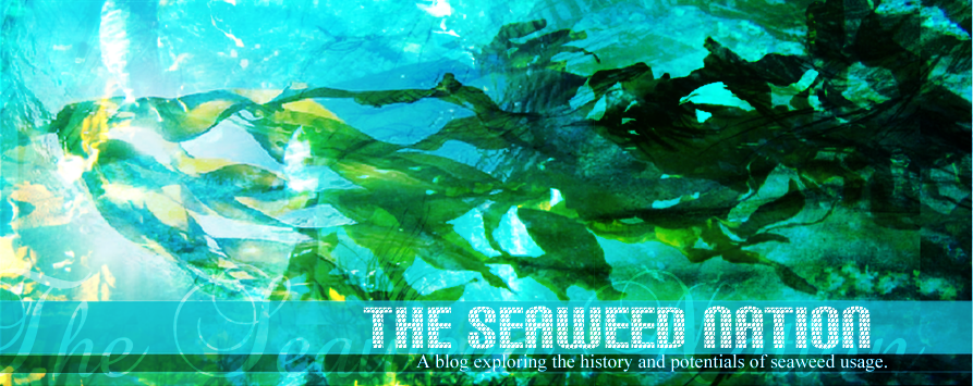 TSN: The Seaweed Nation
