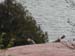 DSCN0729