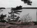 DSCN0730