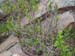 DSCN0737