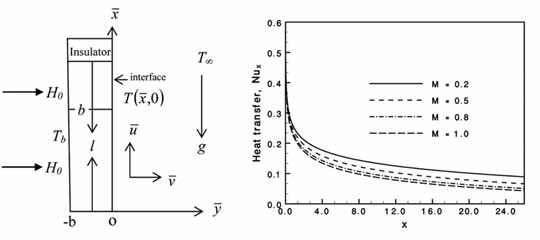 Thermo-fluid-dynamic simulation